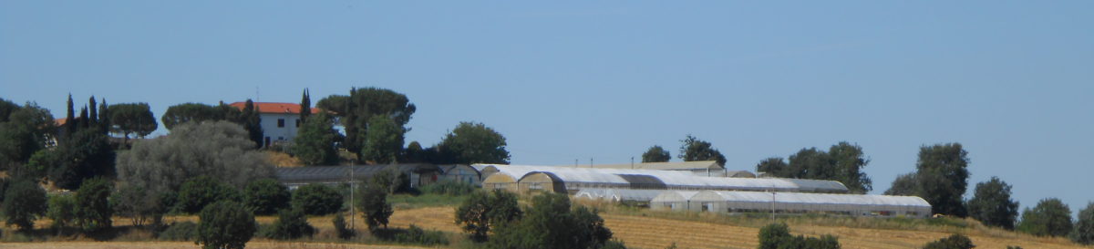 Azienda Agricola Schicchi